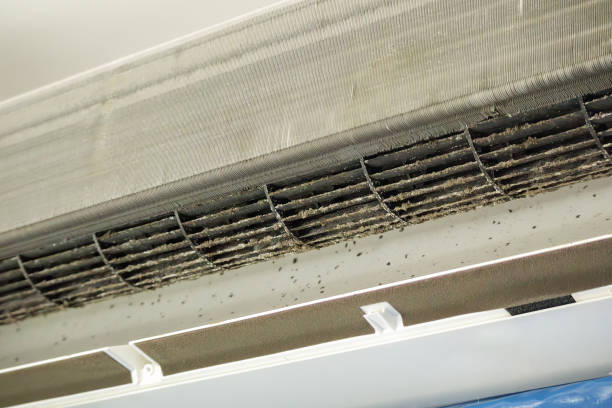 Best Emergency Air Duct Cleaning  in Thornton, IL